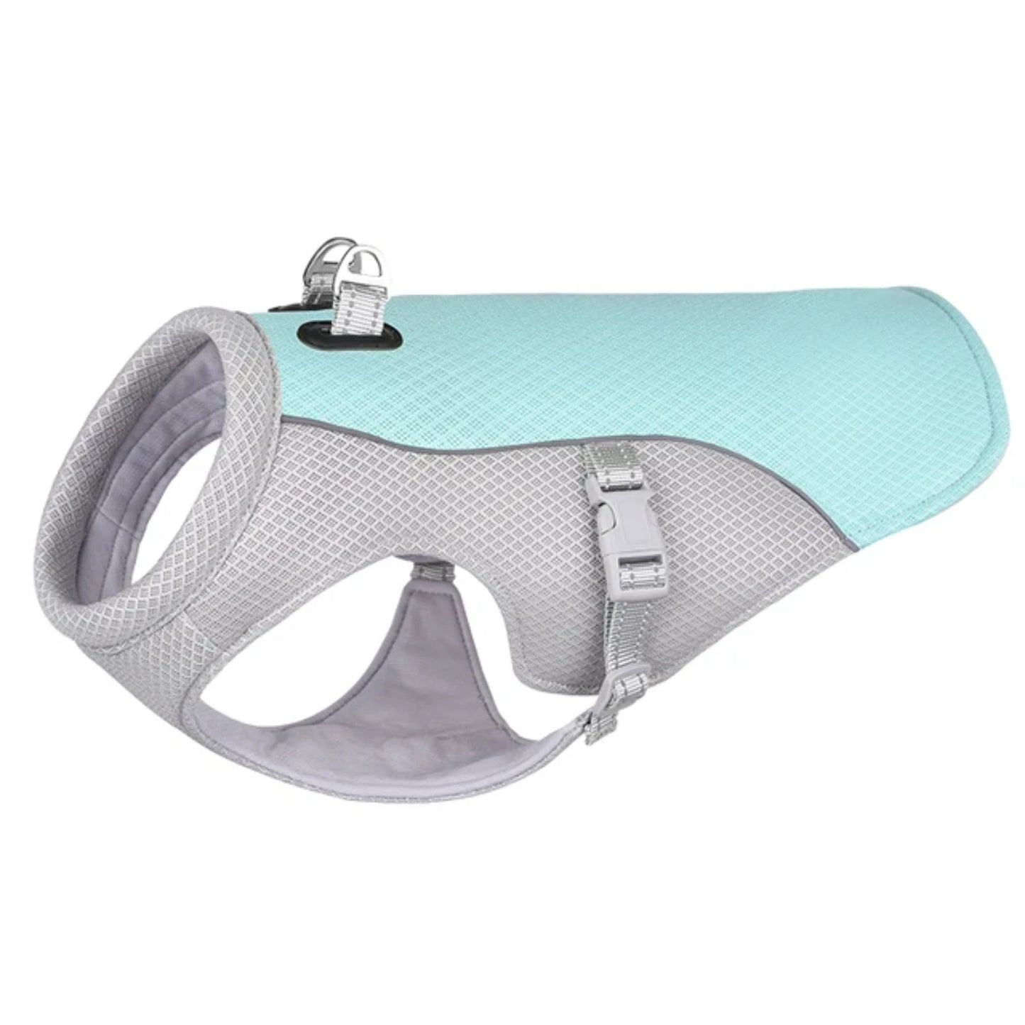 Dog wearing breathable cooling vest harness – blue