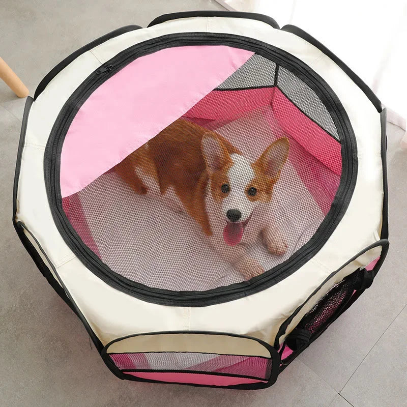 pet tent for dogs