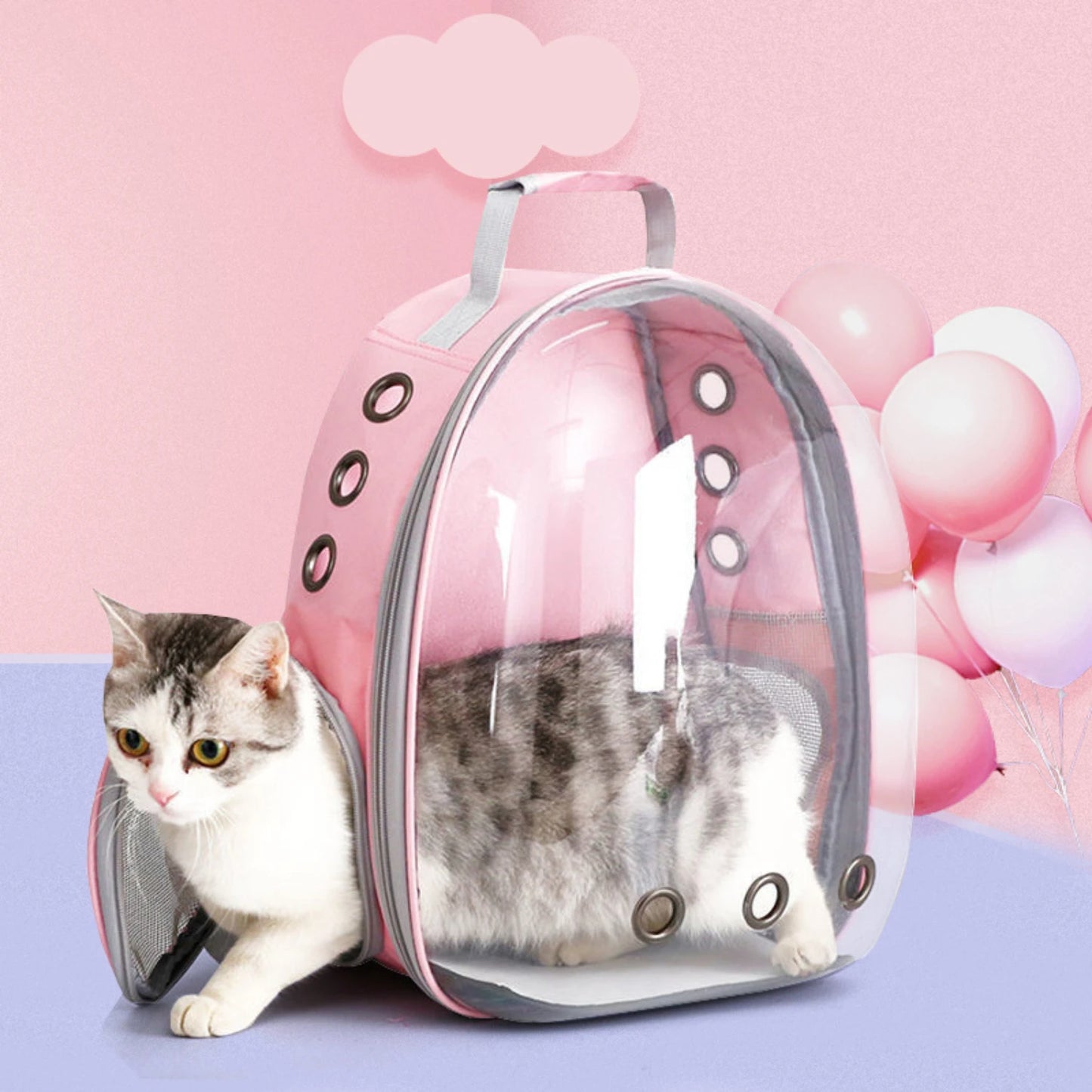 transparent pet carrier