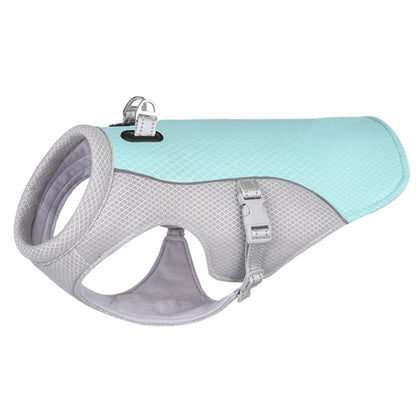 Dog wearing breathable cooling vest harness – blue
