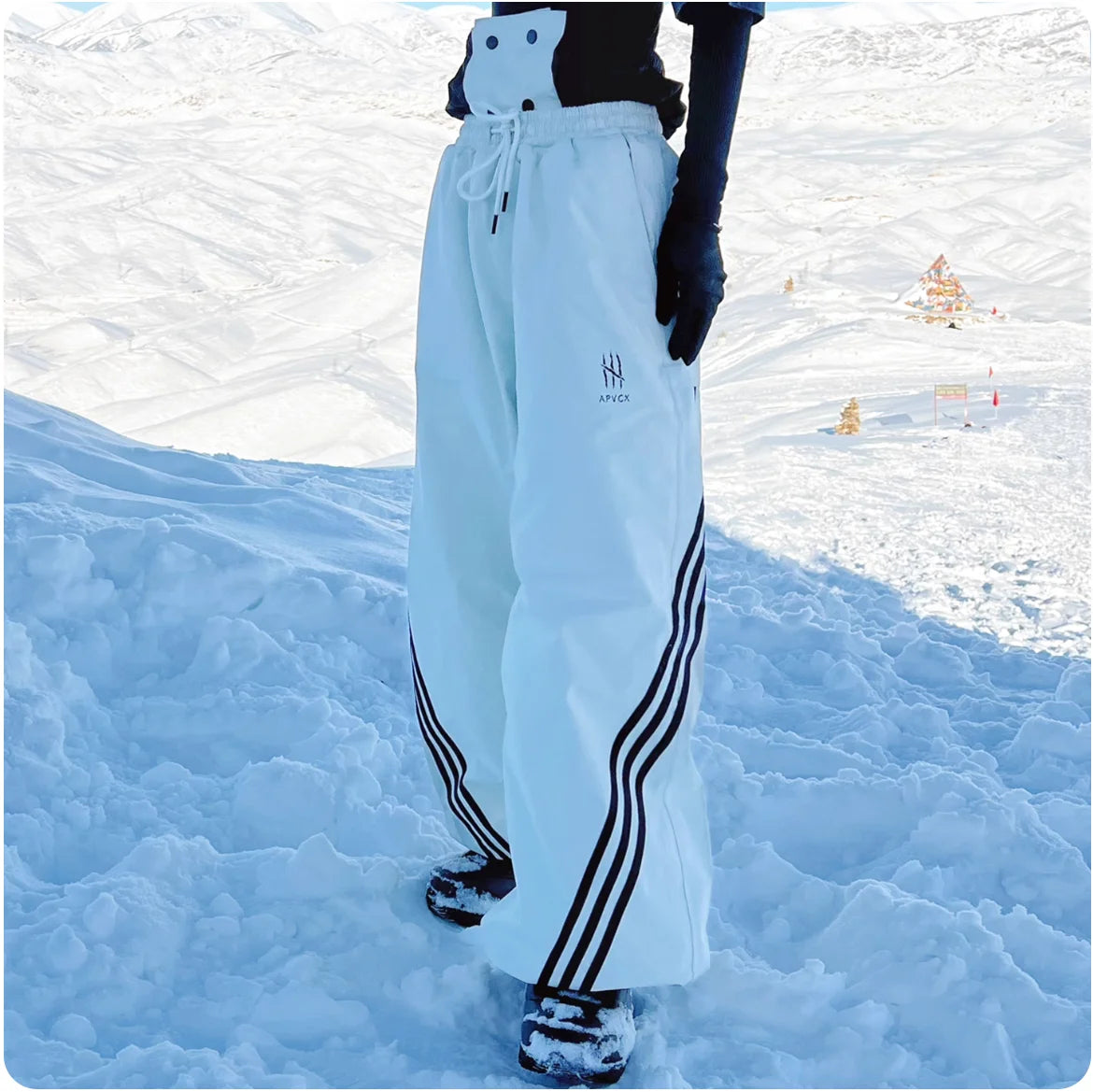 APVCX 2025 Unisex 3L Hard Shell Ski Pants Fully Taped Seam Waterproof & Windproof Unisex Snowboard & Ski Pants for Men Women
