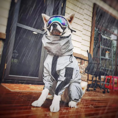 dog raincoat full coverage