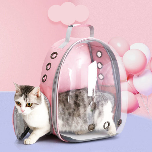 transparent pet carrier